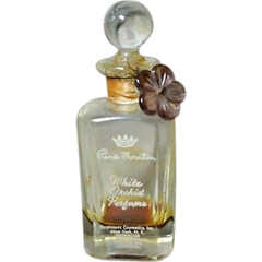White Orchid Perfume / Perfume Orquidea Blanca von Renée Thornton