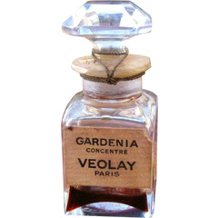 Gardenia Concentré von Violet / Veolay