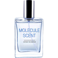 Molecule Scent by Pocket Scents