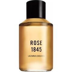 Rose 1845 von Lazarus Douvos