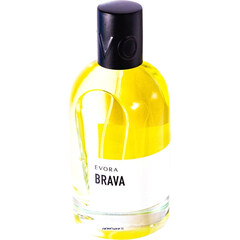 Brava by Evora