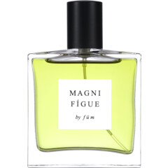 Magnifígue by Fūm