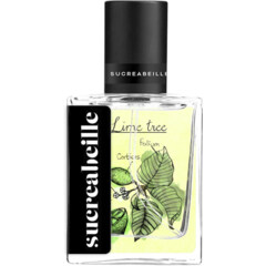 Lime Tree (Eau de Parfum) von Sucreabeille