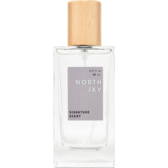 North Sky (Eau de Parfum) by Good Chemistry