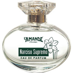 Narciso Supremo by L'Amande