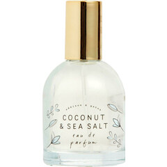 Coconut & Sea Salt by Addison & Gates