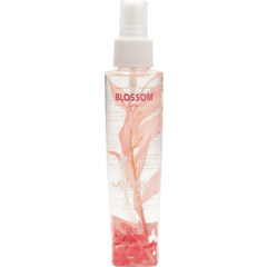Spa - Rose Petals by Blossom Beauty
