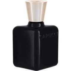 Anima Nera (After Shave) by Roberto Capucci