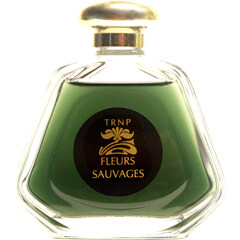 Fleurs Sauvages (2021) by Teone Reinthal Natural Perfume