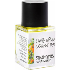 Lights upon Orange Tree by Strangers Parfumerie
