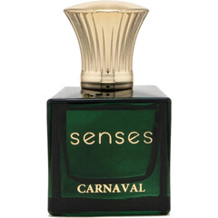 Carnaval von Senses