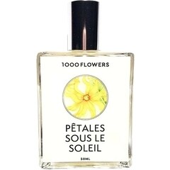 Pêtales sous Le Soleil by 1000 Flowers