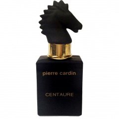 Centaure Diamant Noir by Pierre Cardin