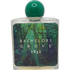Bachelors Grove 1832 by Ghost Ship
