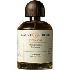 Everlasting by Scent Trunk
