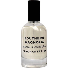 Southern Magnolia by Fragrantarium