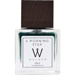 A Morning Star (Eau de Parfum) von Walden Perfumes