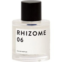 Rhizome 06 von Rhizome
