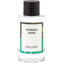Rosebud Moss by Anconú