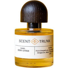 Berry Citrus by Scent Trunk