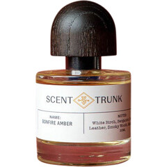 Bonfire Amber by Scent Trunk
