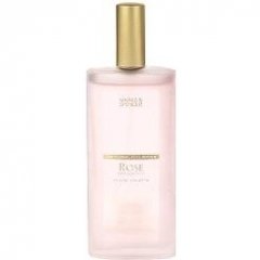 Floral Collection - Rose / Rosa Centifolia by Marks & Spencer