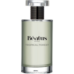Tropical Forest von Béatus