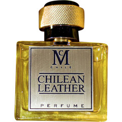 Chilean Leather by Casaniche
