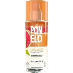 Pomelo (Brume Parfumée) von Solinotes