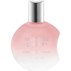 Cherry Blossom by Essential Garden