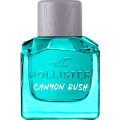 Canyon Rush for Him von Hollister