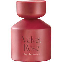 Velvet Rose von Next