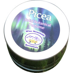 Picea by Wise Mountain Botanicals