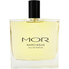 Narcissus by MOR
