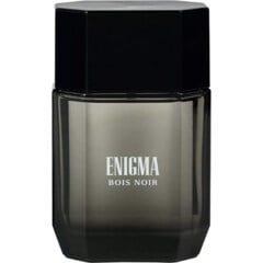 Enigma Bois Noir by Art & Parfum
