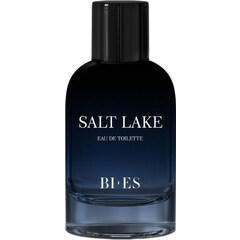 Salt Lake von Uroda / Bi-es