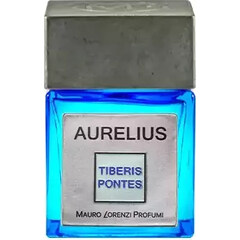 Tiberis Pontes - Aurelius by Mauro Lorenzi