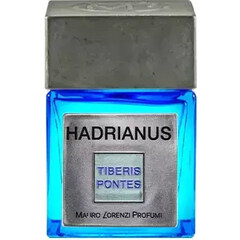 Tiberis Pontes - Hadrianus by Mauro Lorenzi