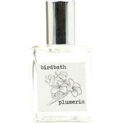 Plumeria by Birdbath