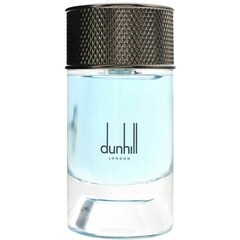 Signature Collection - Nordic Fougère by Dunhill