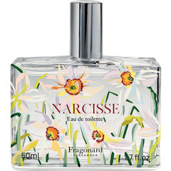 Narcisse (2023) by Fragonard