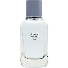 Pansy Orchid by Zara