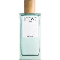 Aire Anthesis by Loewe