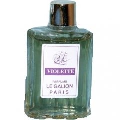 Violette by Le Galion