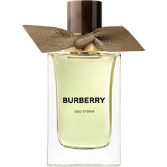 Oud Storm by Burberry