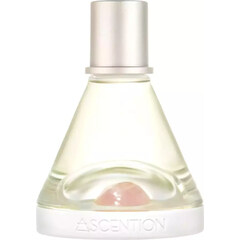 Ascent To Love by Ascention