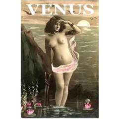 Divine - Venus (Eau de Toilette) by Opus Oils