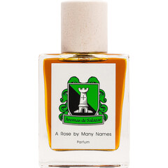 A Rose by Many Names by Aromas de Salazar
