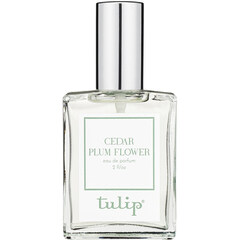 Cedar Plum Flower by Tulip
