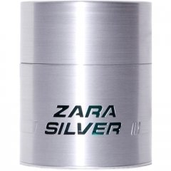 Zara Silver by Zara